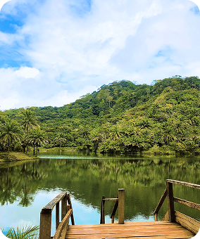 Mikumi national park